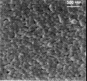 Vol. 2, No. 1, 1999 Ferroelectric Thin Films Using Oxides as Raw Materials 19 Figure 2. X-ray diffraction patterns of the Bi4Ti3O12 films deposited on Si substrate (O), annealed at 500 C for 2.