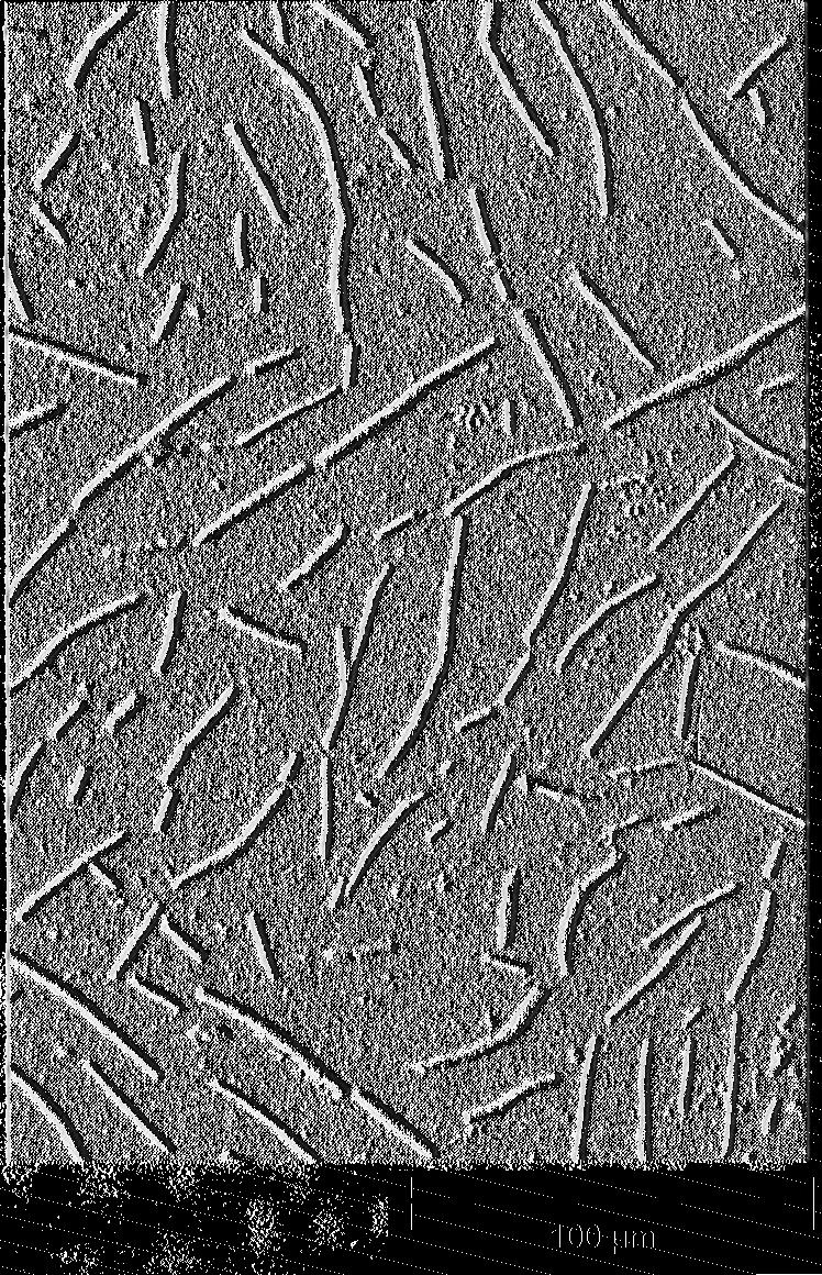 Chapter 5: Eutectic Alloy Systems / 99 Fig. 5.12 Microstructure of a gray cast iron showing flake graphite.