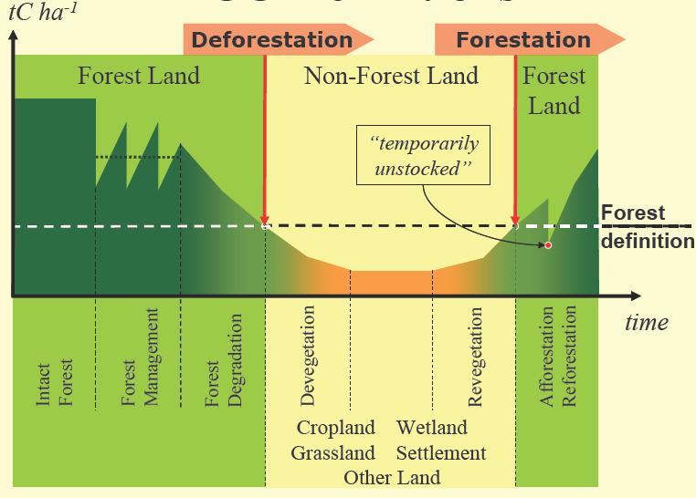 REDD+ according to IPCC s definition REDD Conservation Forest management Enhancement of