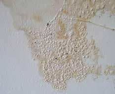 Introduction Older buildings should not be damp, nor are they inherently prone to be, but like any building they can become damp if they are not properly maintained.