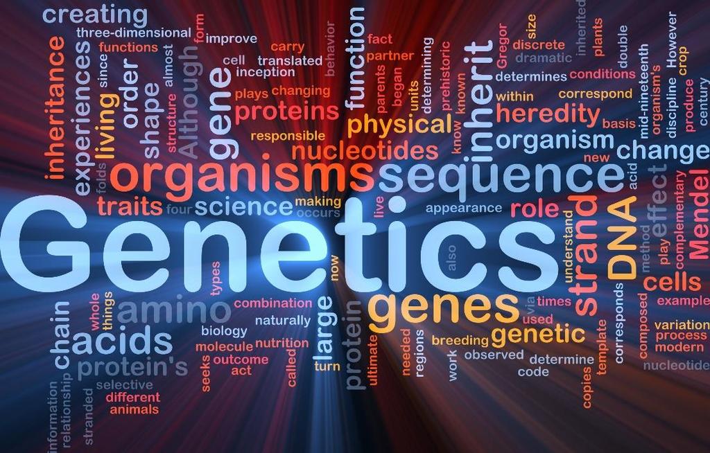 GENETICS Field of biology Study how genetic information