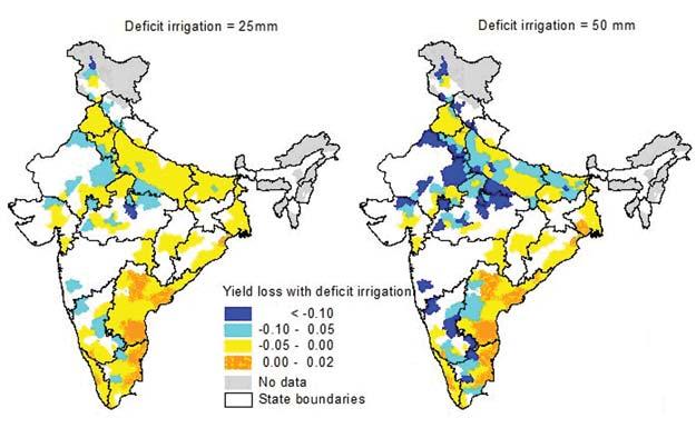 Water Productivity of Food Grains in India: Exploring Potential Improvements Figure 10. Yield loss with different deficit irrigation strategies.