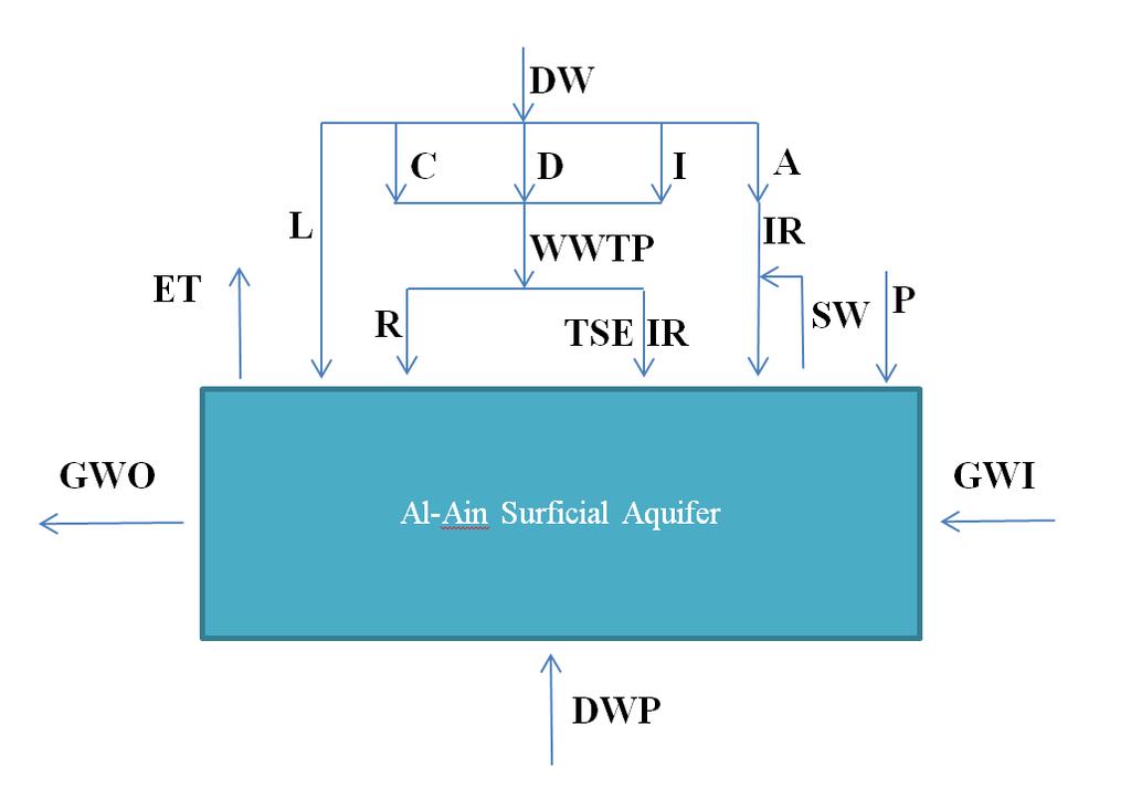 Components INFLOW GWI P IR TSEIR R L DWP Total Input OUTFLOW ET GWO Total Output Balance Water use