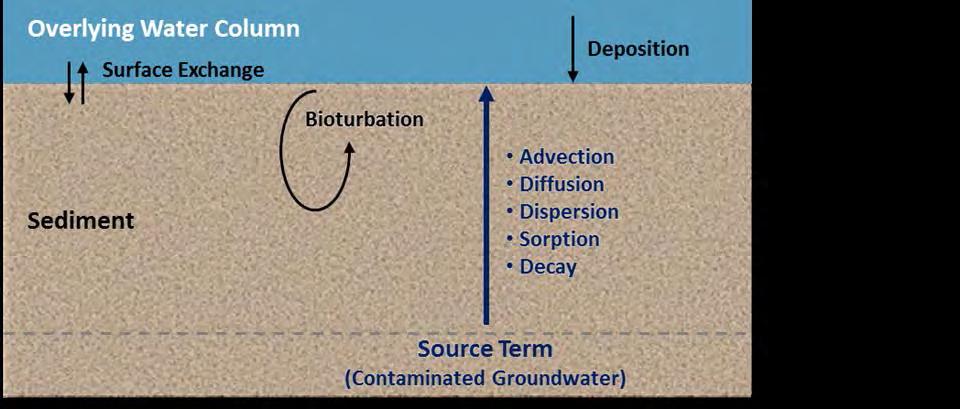 Contaminant Mobility (Benthic) Mobility of contaminants through the placed