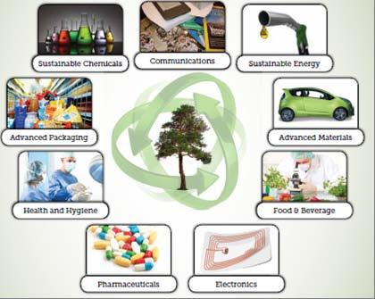 IPST Forest Bioeconomy Thinking Beyond Traditional Products Sustainable energy Advanced materials Food
