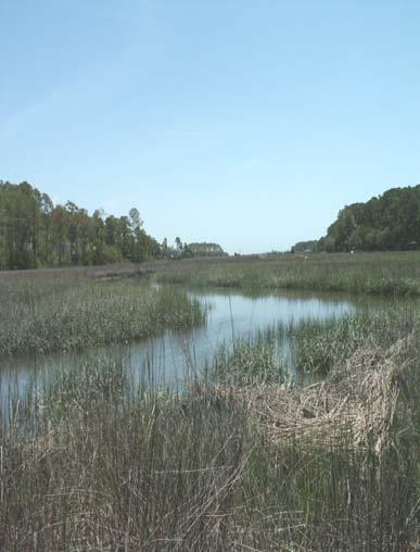 Coastal Marshlands Protection Act The coastal marshlands of Georgia comprise a vital natural resource system.