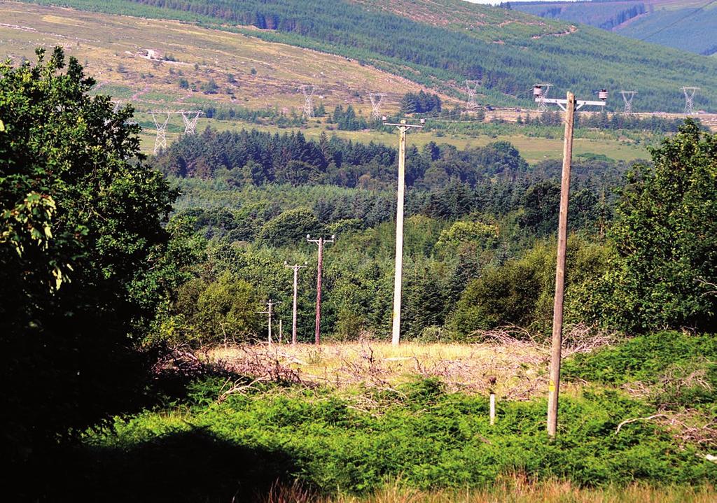 Electricity At Work: Forestry