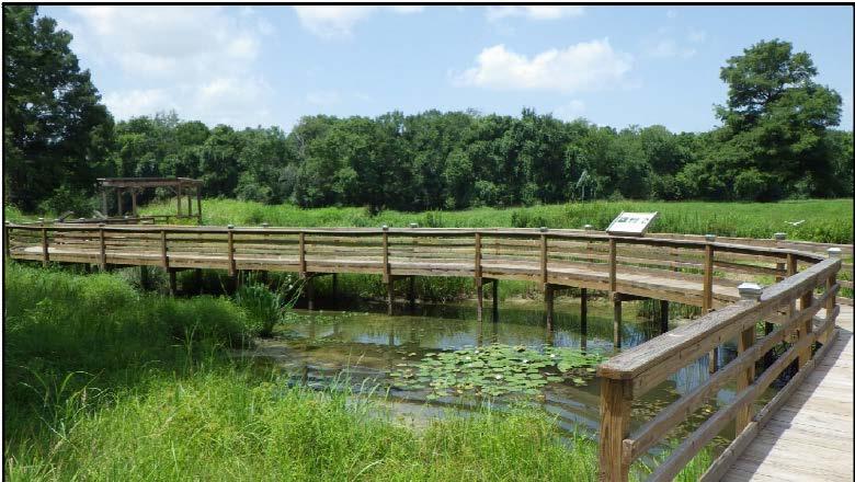 Multipurpose Wetland Creation and Restoration to Improve