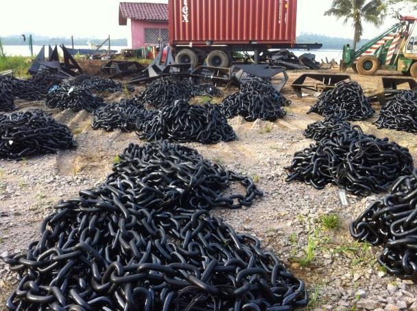 establishing and running a commercial mussel farm and