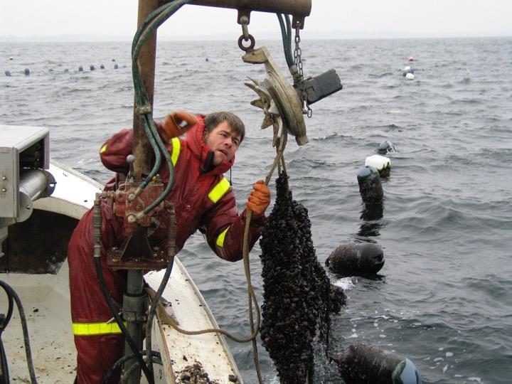 mussels onboard All operations are controlled by