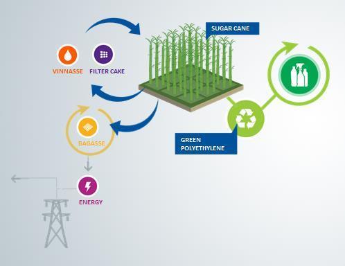 Renewable Energy Sugarcane bagasse, a waste product from the crushing process, is often used to generate electric power to supply the entire ethanol production process, which makes it energy