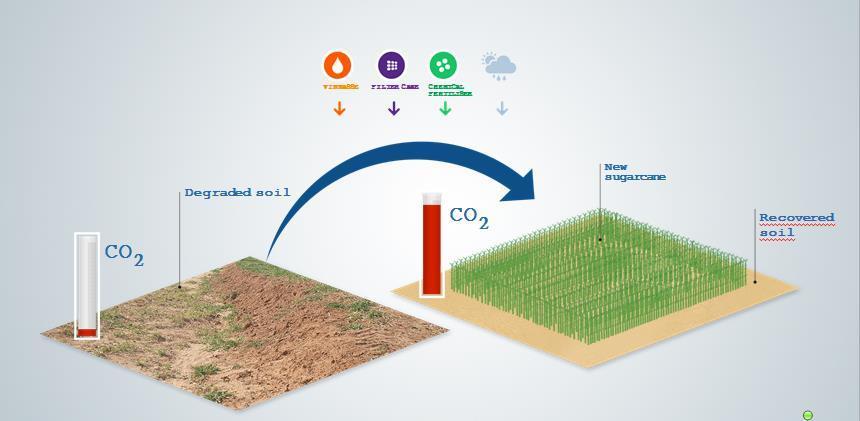 Use of degrade pasture land: The Brazilian Age ecological zoning policy launched in 2009, defines as suitable for sugarcane expansion areas with proper conditions for mechanical harvesting,