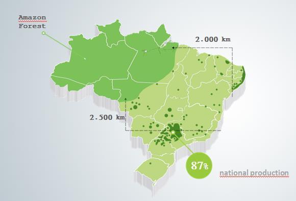 Distance to rainforest: Almost 90% of sugarcane cultivation and harvesting in Brazil is concentrated in the county s Center-South region, which is located more than 2,000 km (1,200 miles) from the