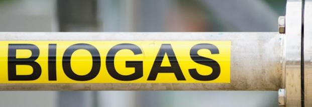 Case study: Biogas for large energy users Gas prices expected to rise sharply
