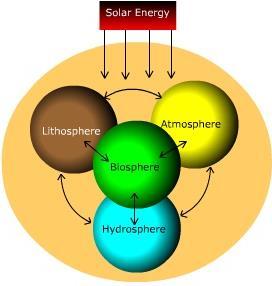 What are biogeochemical cycles?