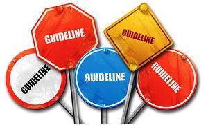 Quality Documentation (cont d) Guidelines being developed for website: -