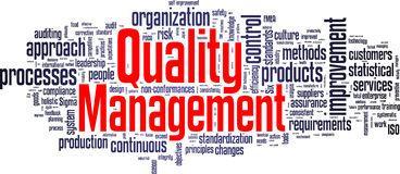 Quality Improvement Main areas for improvement: - Documentation system - Job descriptions & organograms - Internal audit system and