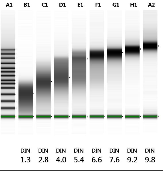 A new standard for genomic DNA QC - the DNA Integrity Number (DIN) DIN functionality for the Genomic DNA ScreenTape assay.