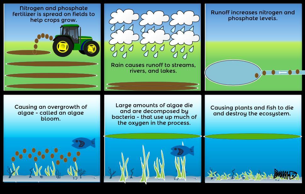 ISSUE: Eutrophication POSSIBLE SOLUTIONS: Reducing