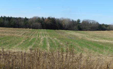 75 acres of reduced tillage 130 acres of conservation crop rotation Local Watershed Action Team