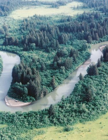 ECOLOGICAL INTEGRITY Flood plains, another important part of riparian ecosystems, trap sediment and particulate organic matter outside the active channel during overbank flows (Swanson and others