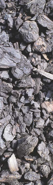 Fuel Flexibility in CFB Coal Anthracite Bituminous Subbituminous