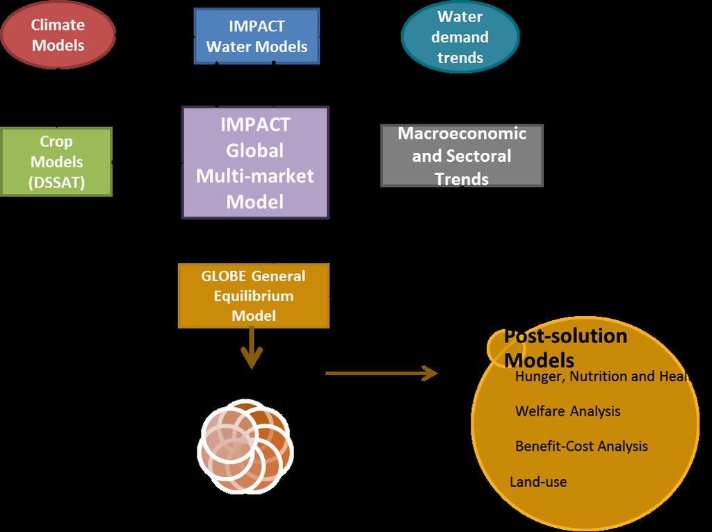 IFPRI s IMPACT Modeling System Exploring alternative climate and investment futures Linked climate, water, crop and economic models Estimates of production, consumption, hunger, and environmental