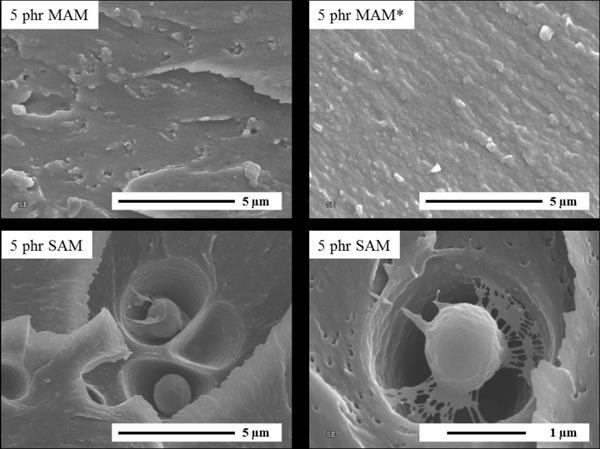 10. It appears that in the SAM-modified epoxies, the nano-size particles, however, remain between approximately 70-100 nm for all modifier concentrations.