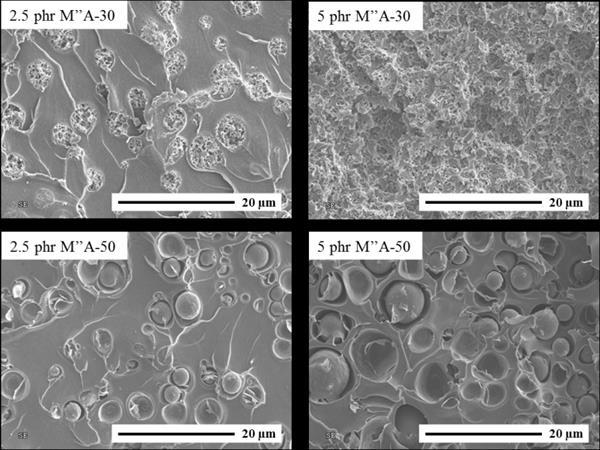 Figure 11: SEM micrographs illuminating the fracture surface of the stress whitened region of the M''A-30- and M''A-50-modified epoxies.