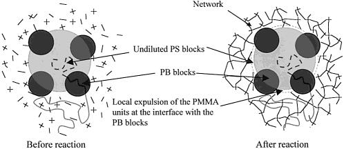 polystyrene-block-polybutadiene-block-poly (methyl methacrylate) (SBM) triblock copolymers studied by J.P. Pascault et al. [46, 47].