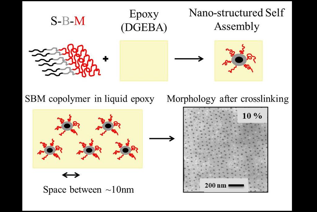 domains of rubber, substantially different from the morphology of CTBN in terms of structure. Figure 18: Schematic of nano-structure self-assembly of SBM in a DGEBA epoxy matrix [48].