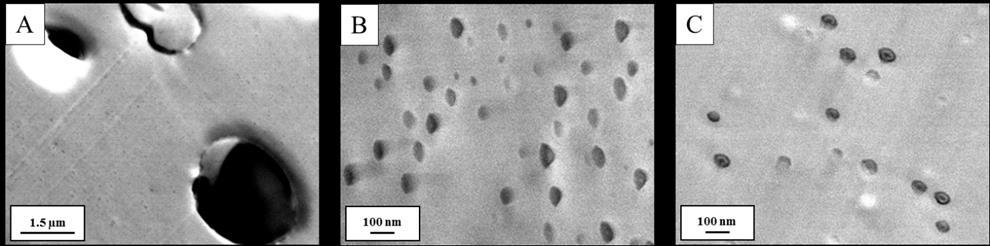 resolution of the STEM-IN-SEM technique. Figure 5: High magnification STEM micrographs taken of A: 15 phr CTBN-modified epoxy, B: 5 phr CSR-modified epoxy, and C: 2.