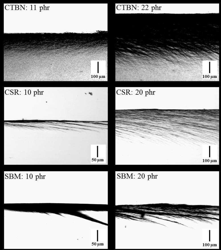 Figure 4: Bright field TOM micrographs
