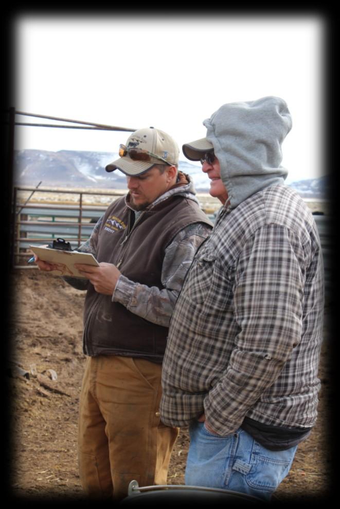 Smalley s Angus Ranch has been doing this test with Dr. Timothy N. Holt, DVM, since 1980 (so we are very confident in the good genetics and consistent testing of our herd!). On February 12, 2017, Dr.