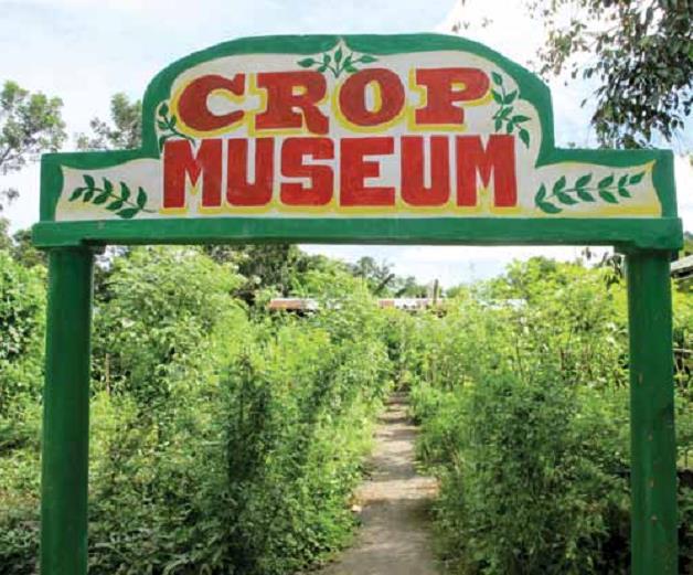 This the idea behind CROP MUSEUMs in schools.