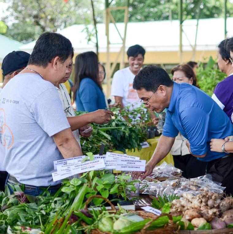 A school based crop museum organizes annual seed exchange fairs.