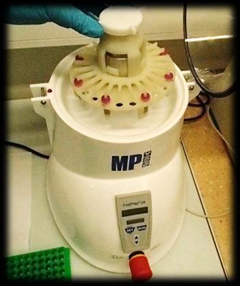 METHODOLOGY P a g e 24 Step 8: 500 µl of sample solution was pipetted into a sterilised microcentrifuge tube, with concentration of original sample normalised to 0.