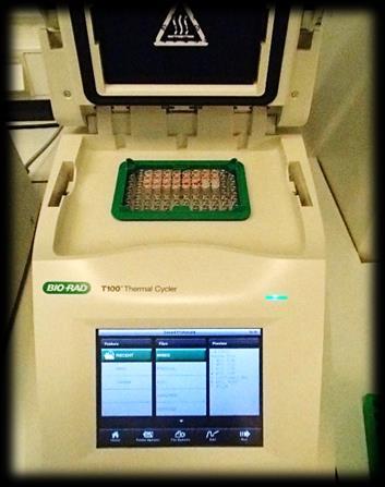 Step 3: Fluorometer calibrated using DNA Standard Solutions (10µl DNA Standard + 190µl Qubit Working Solution).