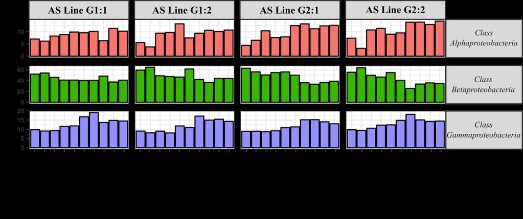 For full plots of abundance profiles for the top 10 taxa from phylum- to genus-level (which displayed similar trends in all 4 AS lines), see APPENDIX VI.