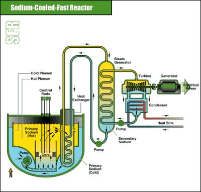 Sodium-Cooled Fast Reactor Eliminates the need for transuranic (Pu) isotopes from leaving site (by breeding and consuming