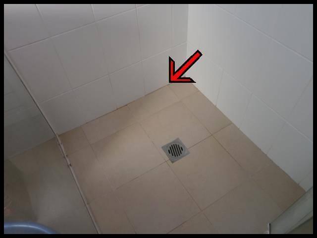 Shower/Bath Condition: Tiles: Basin & Taps: Vanity Unit: Toilet Condition: The shower recess was tested and there was no visible water penetration to surrounding areas.