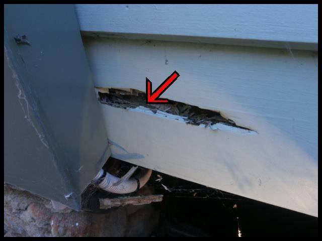 General Condition: Moderate wet rot decay is present to external walls. Recommend decayed timbers be repaired or replaced.