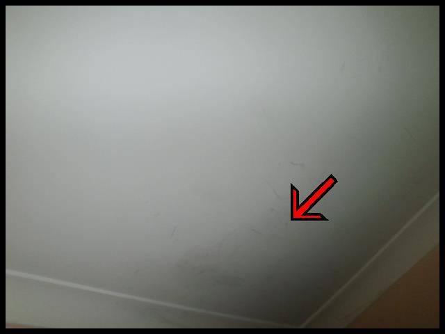 Ceiling Condition: Location/area Walls: Internal Walls Condition: Location/area Windows: Windows Condition: Doors: Doors Condition: The condition of the ceilings is generally good.