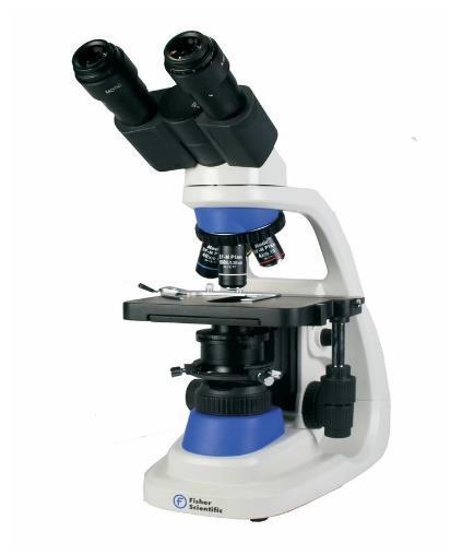 i.e., hand lens, agglutination viewer or microscope, for agglutination.