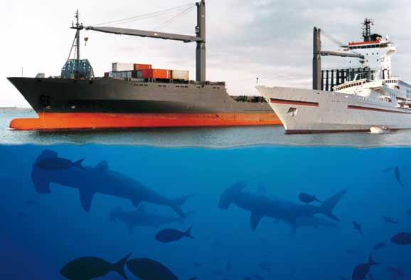 GEA Westfalia Separator BallastMaster The solution for every size of ship and customer requirement The IMO convention sets strict guidelines for ballast water management systems: they may not harm