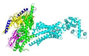 (70% of drugs) Rhodopsin-like GPCR PDBe: 3sn6
