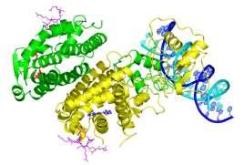 3e00 Protein kinases PDBe: 4foc 22% of drug