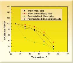 It was observed that the immobilized enzyme was stable for repeated use. Fig. 2 : ph Effect Fig. 4 : Thermostability of Catalase Application of immobilized enzyme Fig.