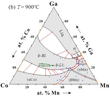 Stoichiometric composition of Mn 2 CoAl locates in the two phase region