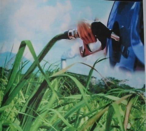 Biofuels Act of 2006: first in Southeast Asia Major provisions 2% mandatory biodiesel blend implemented since 2009 10% mandatory bioethanol blend to commence in February 2011 Fiscal incentives